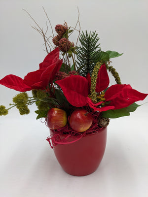 Wintergesteck mit roten Weihnachtssternen, Äpfeln, Tannenzweig und Beeren in rotem Keramiktopf