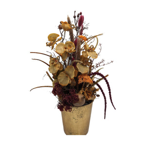 Freigestellt Herbstgesteck Orchideen Gräser Beeren orange dunkelrot