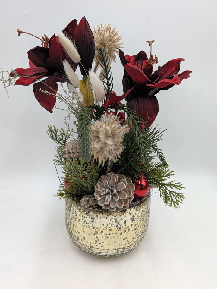 Weihnachtsgesteck mit zwei weinroten Amaryllisblüten, Tannenzweigen und Zapfen in goldfarbenem Topf