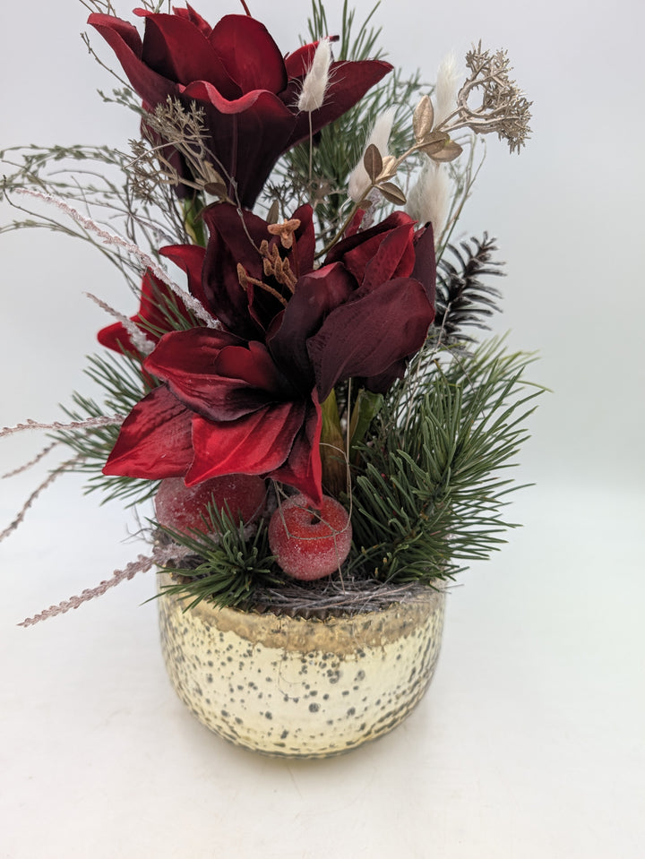 Weihnachtsgesteck mit dunkelroten Amaryllisblüten, Tannenzweigen und roten Beeren in goldfarbenem Glastopf
