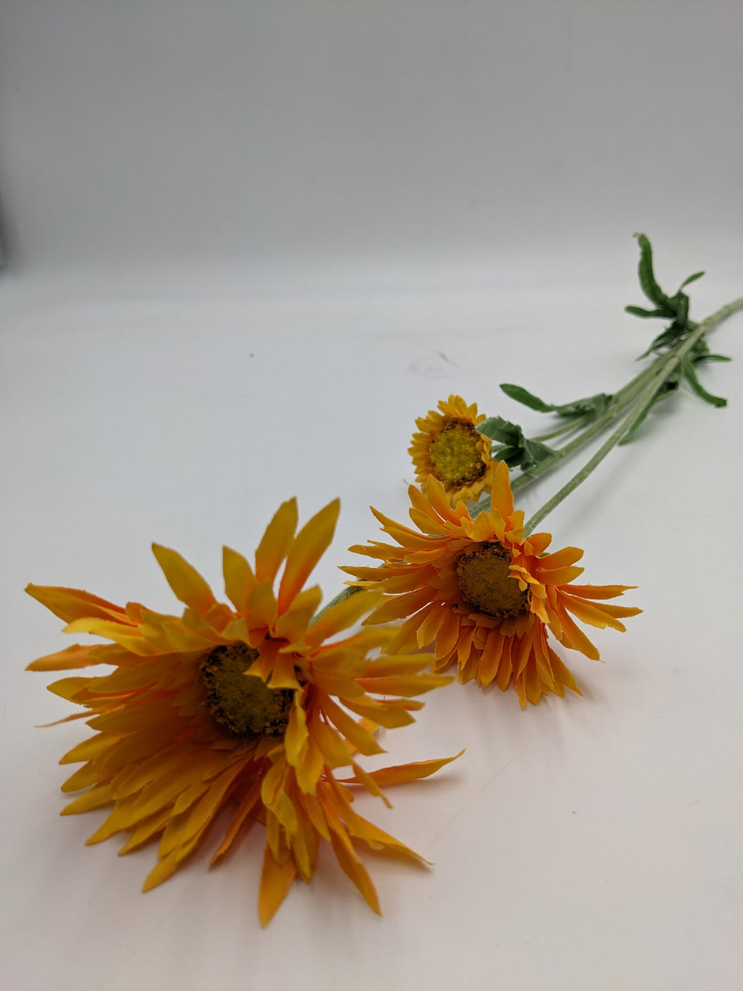 Calendula Stiel DIY orange