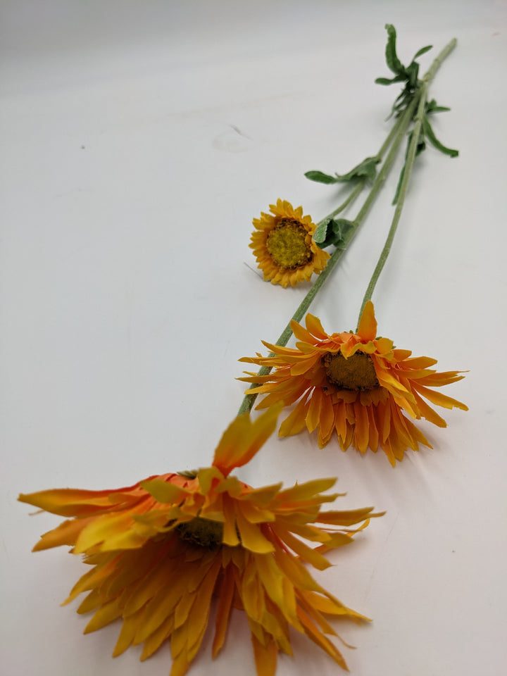 Calendula Stiel DIY orange