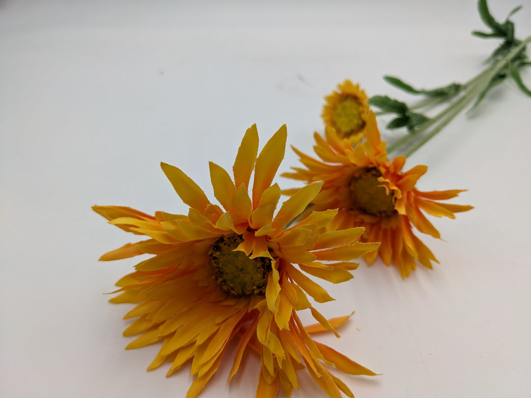 Calendula Stiel DIY orange