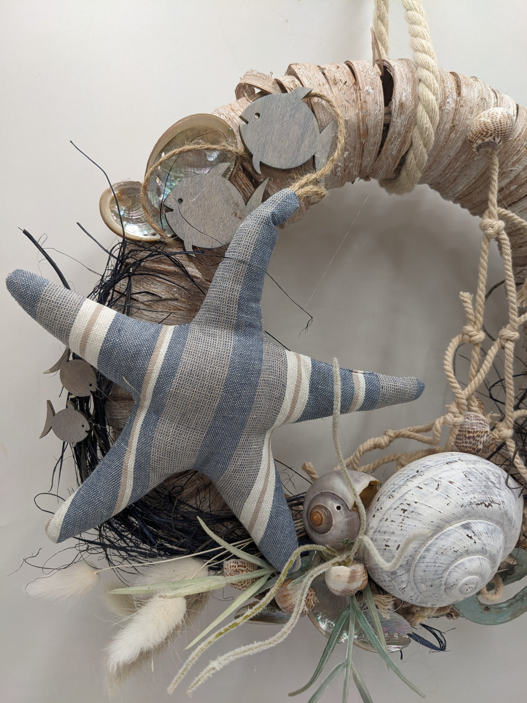 Türkranz Schnecke Seestern Fisch blau