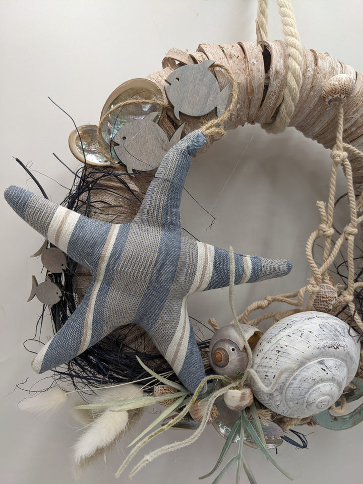 Türkranz Schnecke Seestern Fisch blau