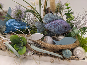 Nahaufnahme: blau-violetter Stofffisch, blaue Krabbe, Schneckenhäuser, Tau und grüne Sukkulentenblätter