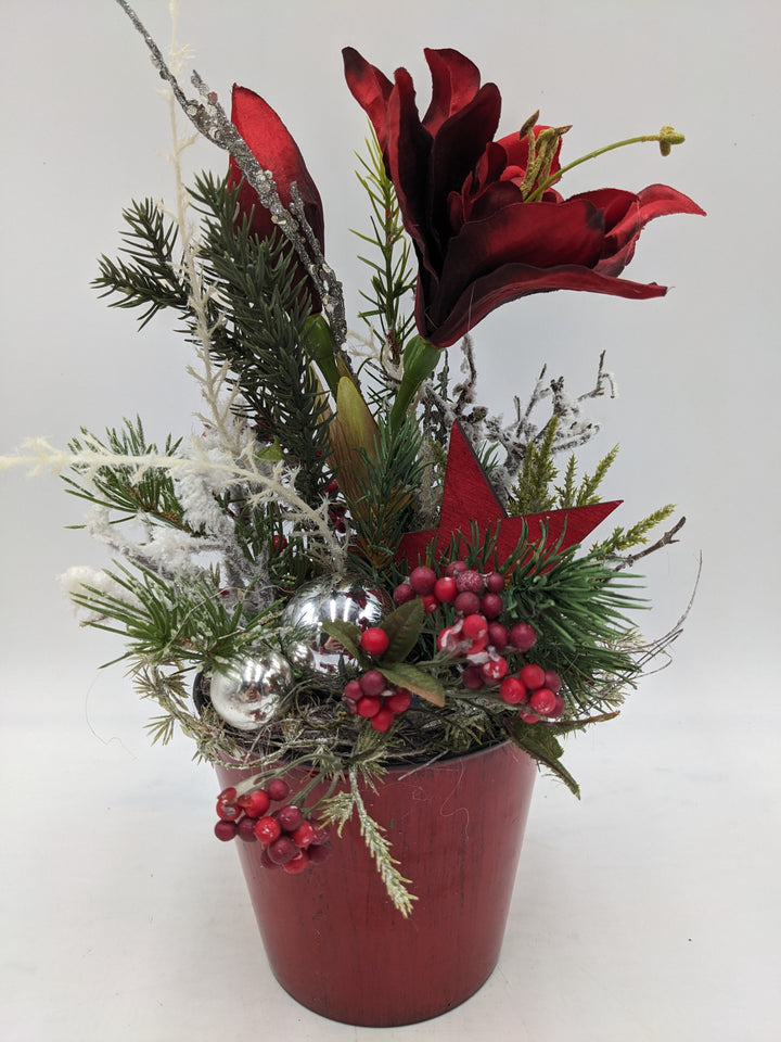 Weihnachtsgesteck Kugel Stern Amaryllis rot