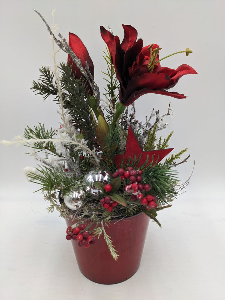 Weihnachtsgesteck Kugel Stern Amaryllis rot