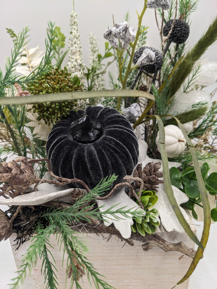 Herbstgesteck Kürbis Zapfen Craspedia weiß