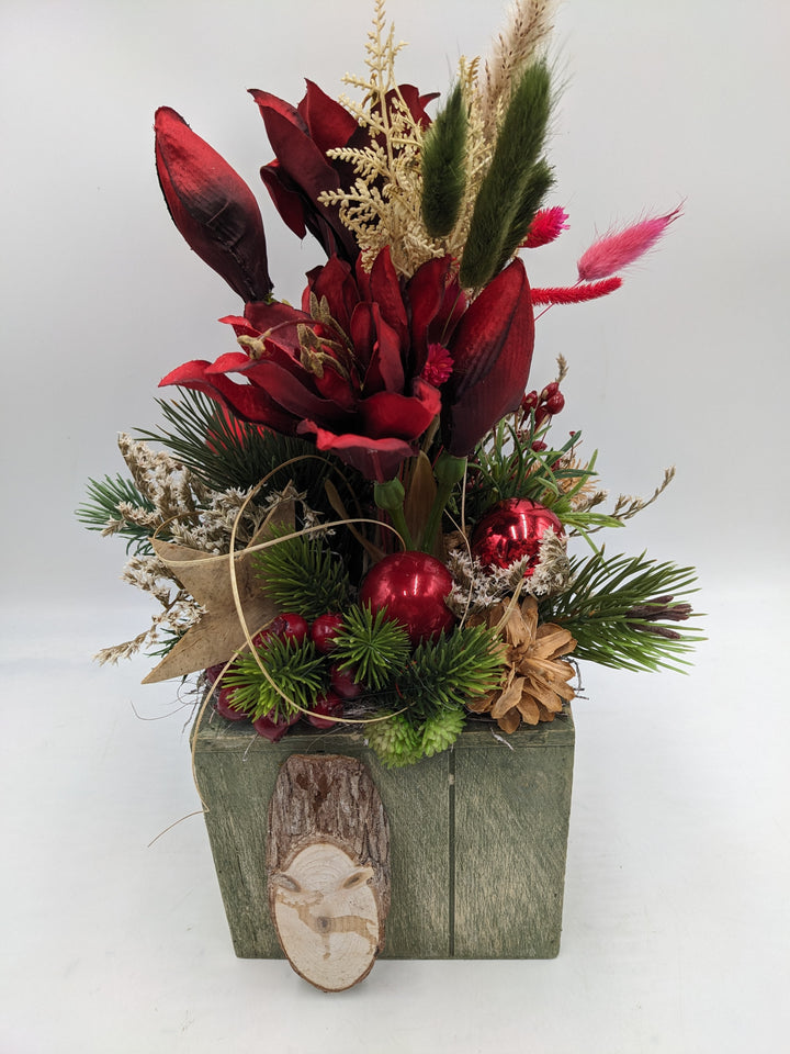 Weihnachtsgesteck Kugel Stern Amaryllis rot