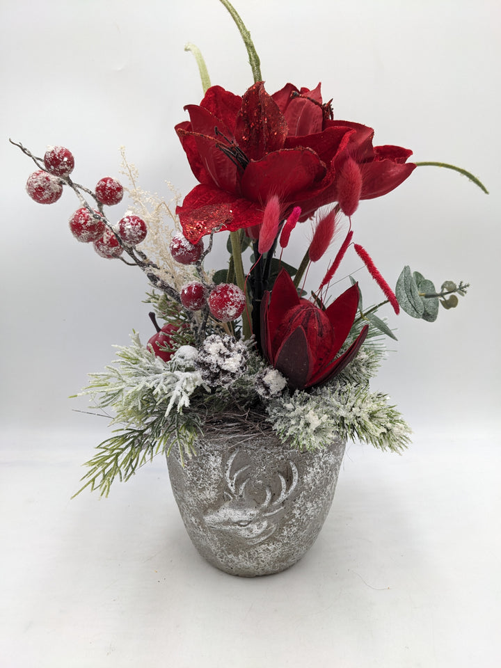 Wintergesteck Protea Amaryllis rot