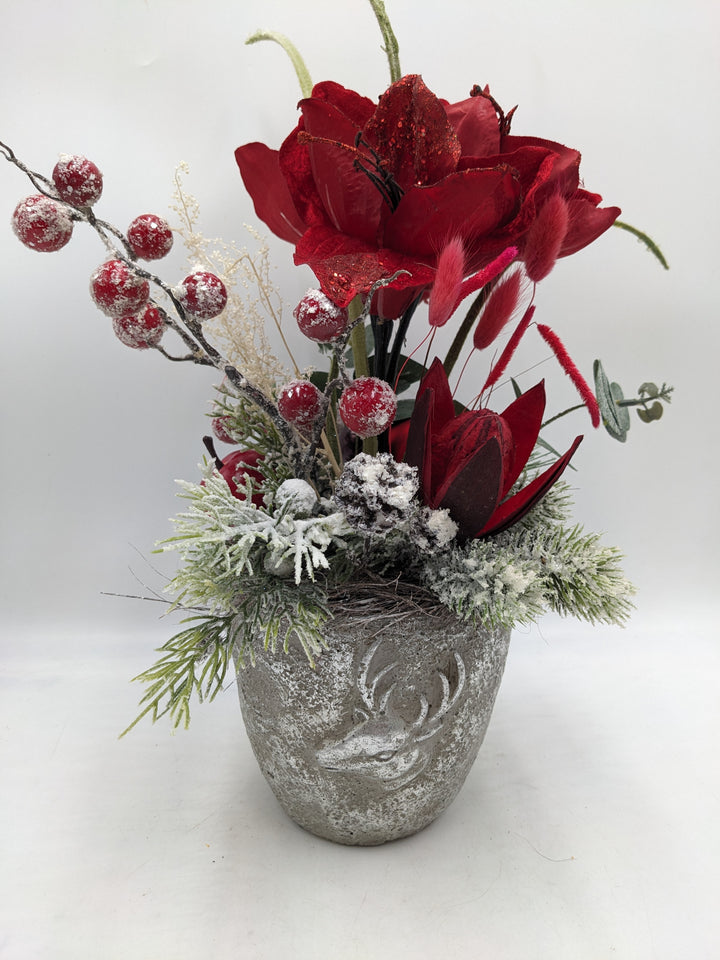 Wintergesteck Protea Amaryllis rot