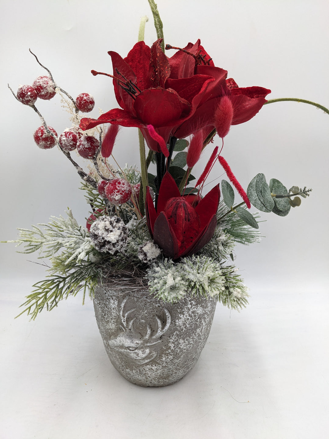 Wintergesteck Protea Amaryllis rot