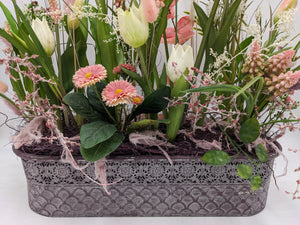 Nahaufnahme: rosa Bellis, weiße Tulpen und Traubenhyazinthen über dem geprägten Rand des Metallkastens