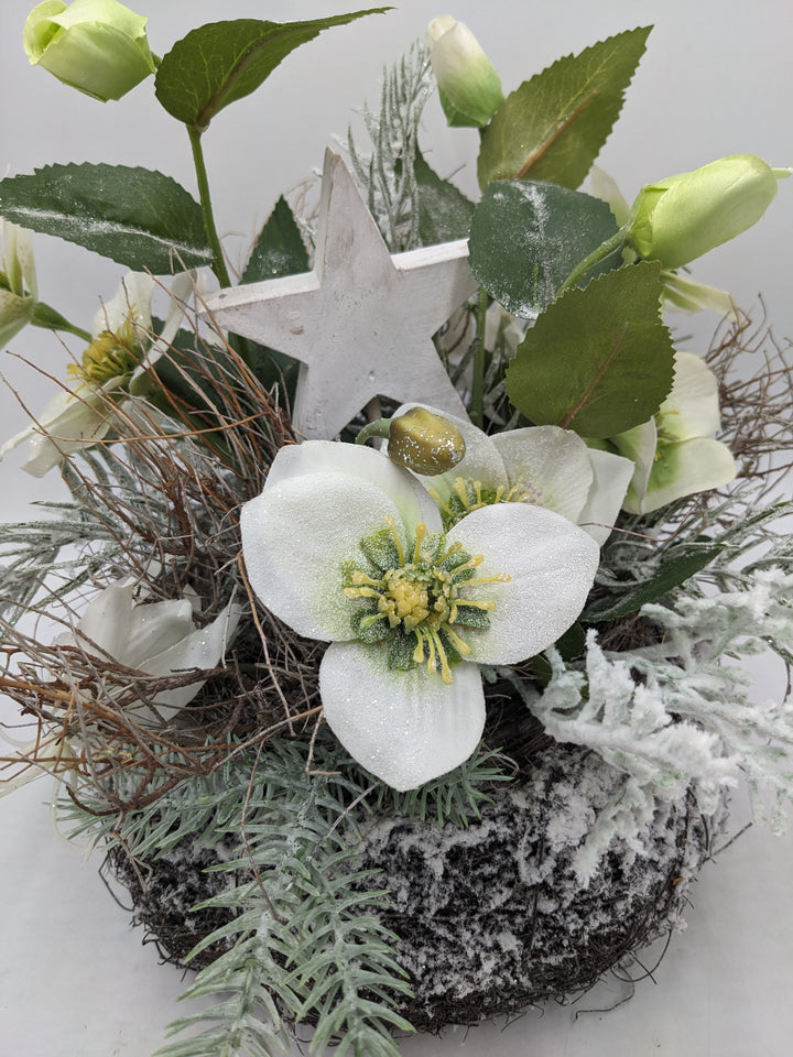 Wintergesteck Christrosen Stern Tanne weiss