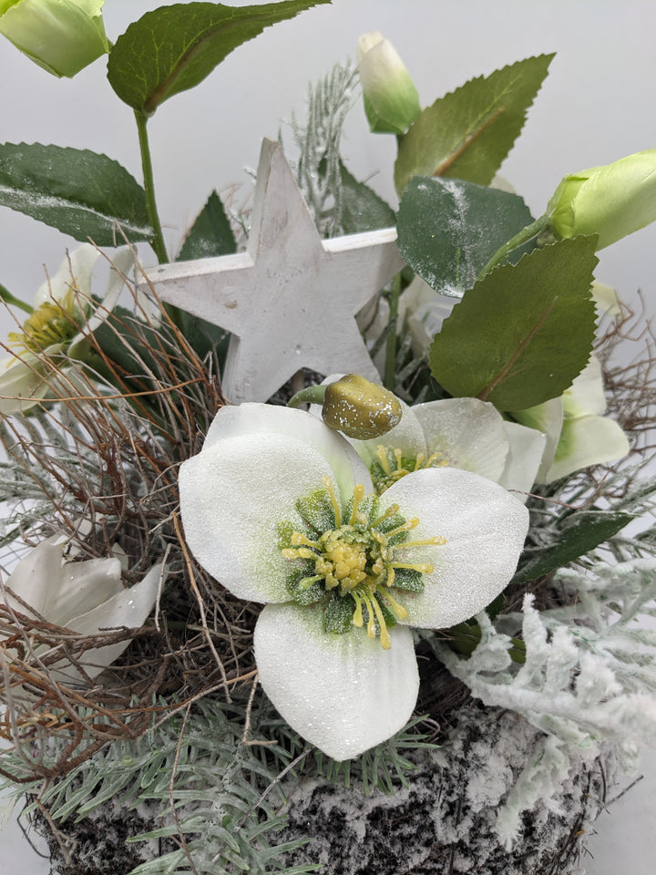 Wintergesteck Christrosen Stern Tanne weiss