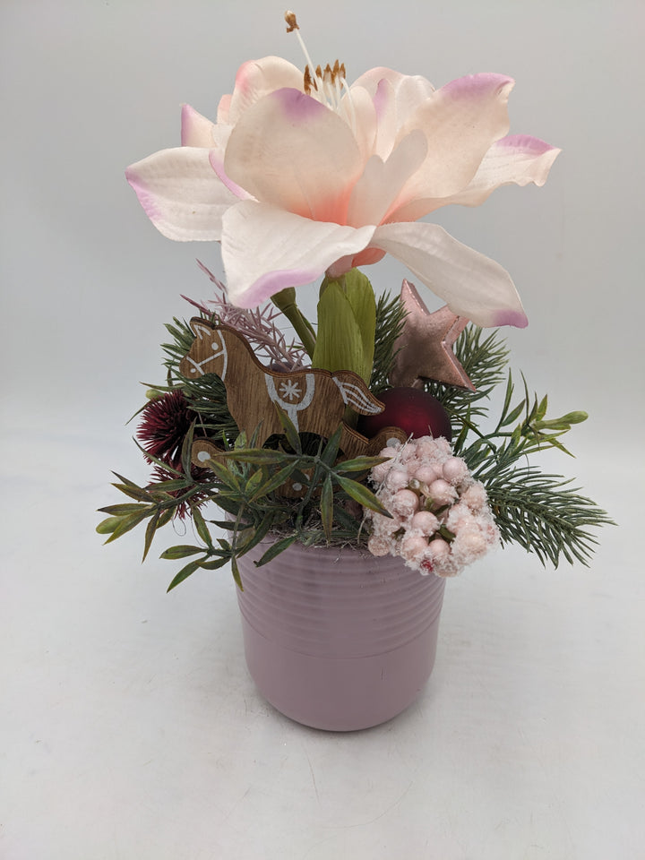 Wintergesteck Amaryllis Distel Stern rosa