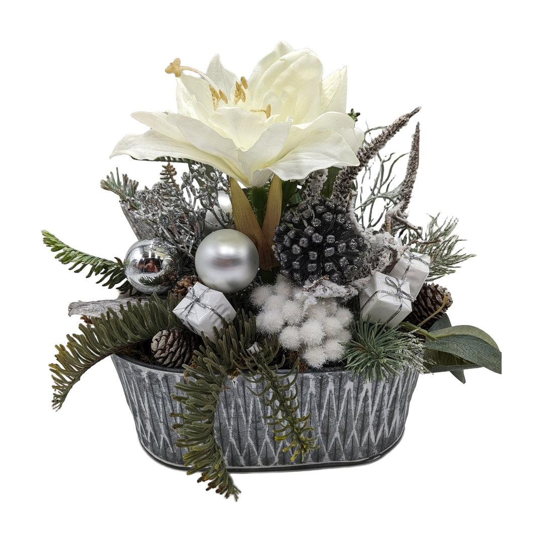 Freigestellt Weihnachtsgesteck Amaryllis Kugeln Geschenke Tanne weiß silber