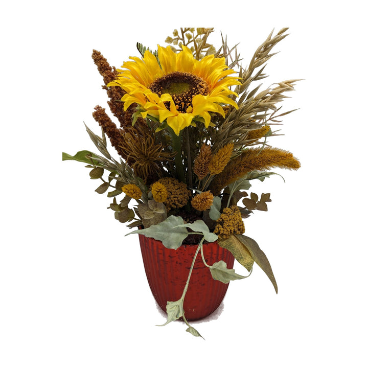 Freigestellt Herbstgesteck Sonnenblume Weizen Gräser gelb im roten Topf