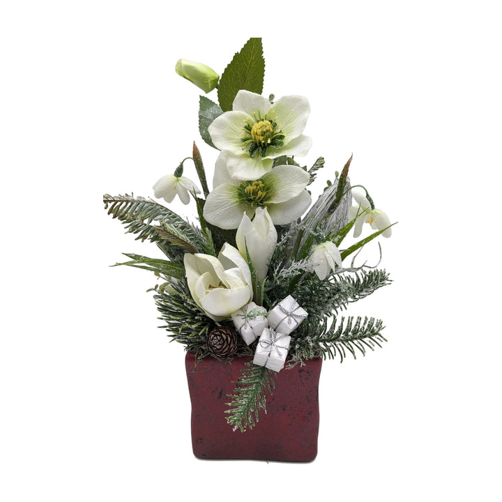 Freigestellt Wintergesteck Christrose Schneeglöckchen Zapfen Geschenke weiß grün