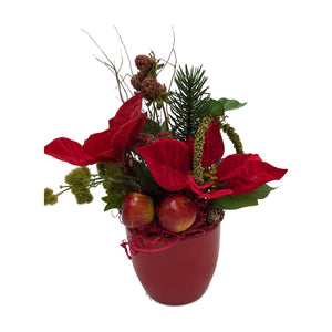Freigestellt Wintergesteck Weihnachtsstern Apfel Tanne rot grün