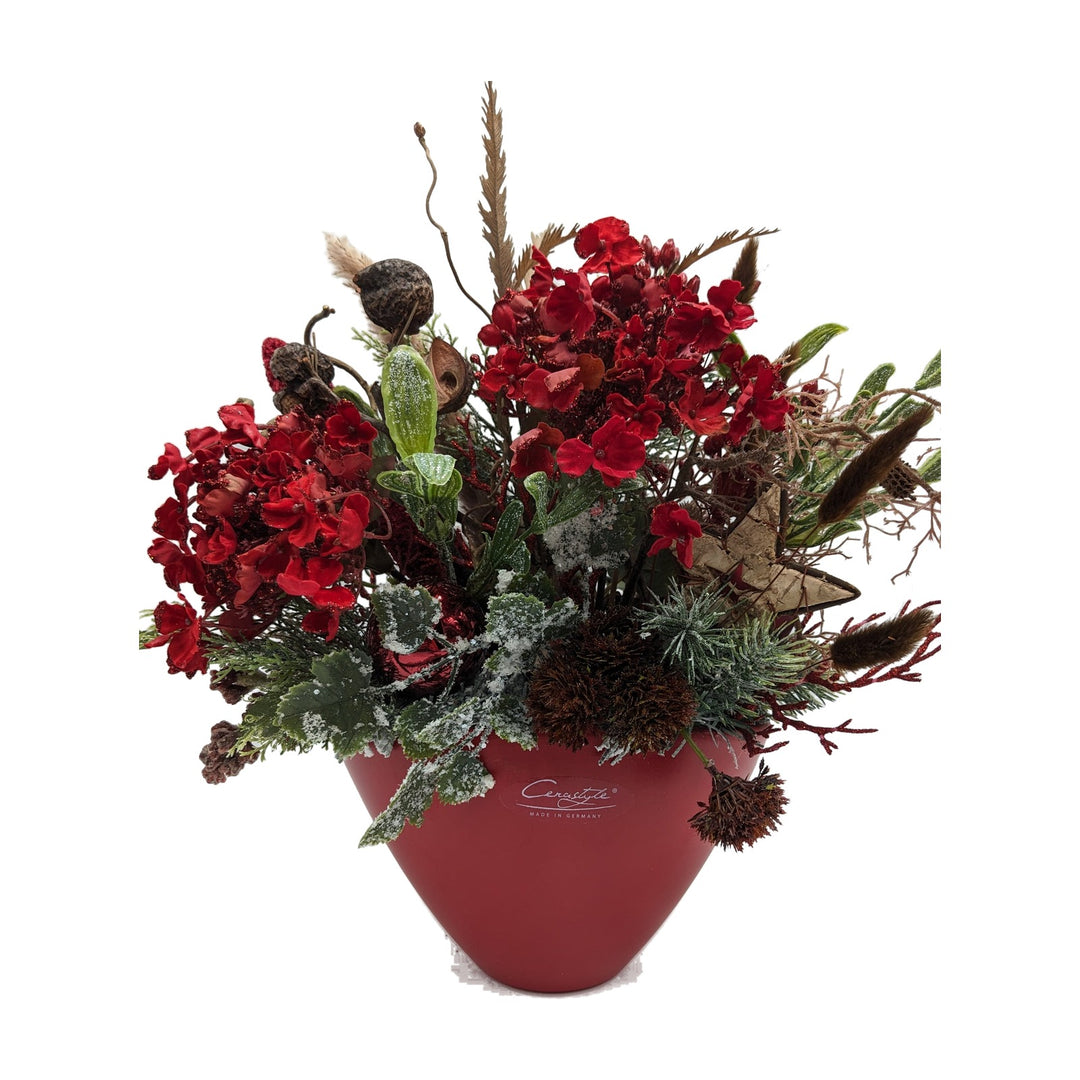 Freigestellt Weihnachtsgesteck Hortensie Kugel Stern rot grün im roten Topf