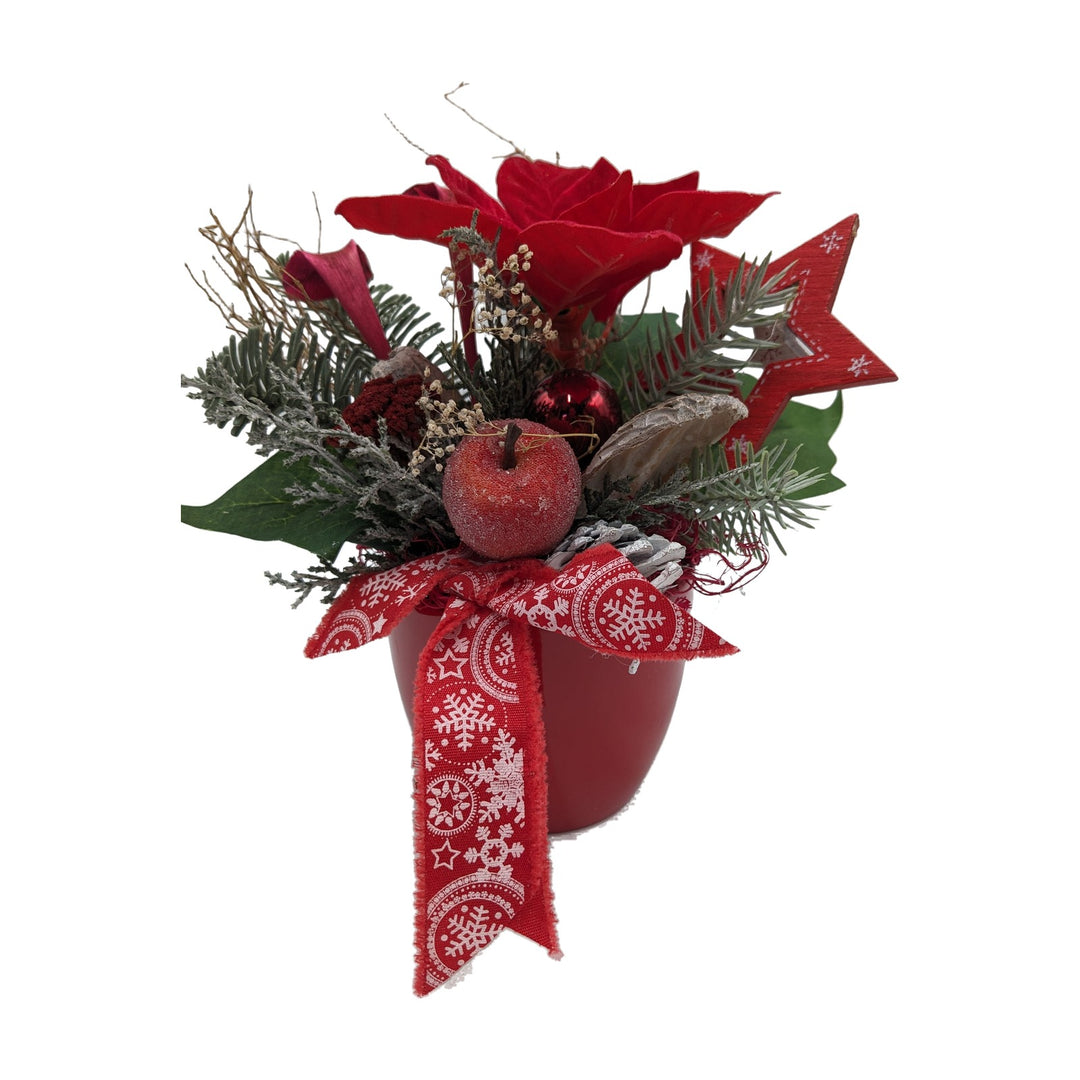 Freigestellt Weihnachtsgesteck Weihnachtsstern Kugel Apfel Stern rot weiß