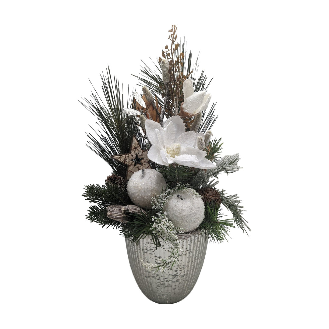Freigestellt Weihnachtsgesteck Magnolie Äpfel Stern weiß silber im Topf
