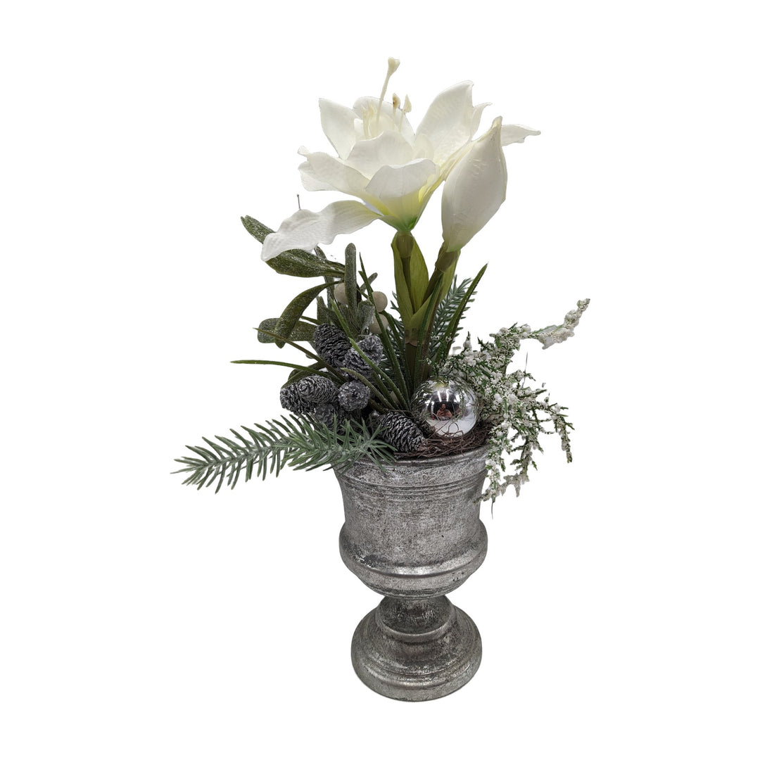 Freigestellt Weihnachtsgesteck Amaryllis Zapfen Kugel weiß silber im Pokal