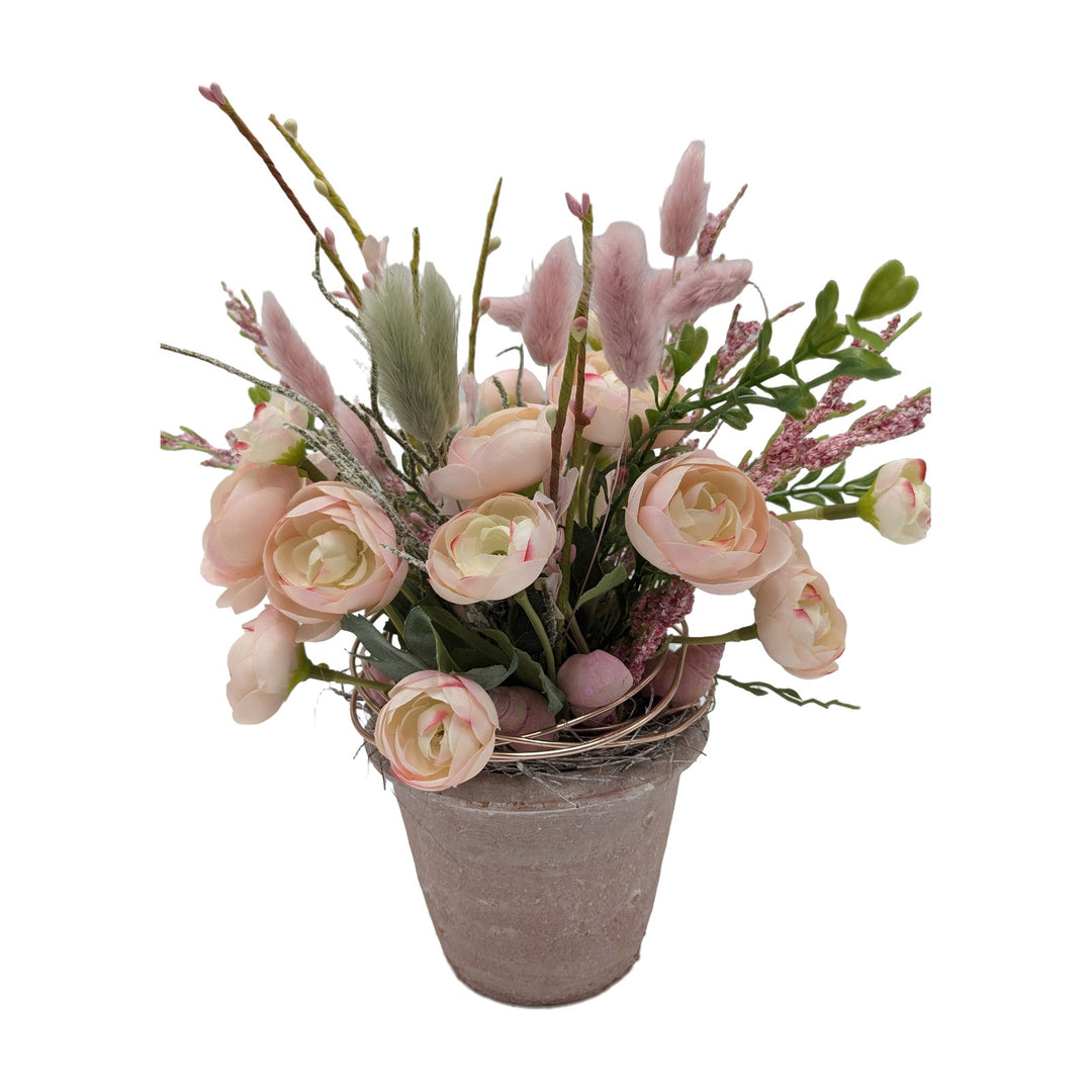 Freigestellt Sommergesteck Ranunkeln Schnecke Salbei rosa apricot im Topf