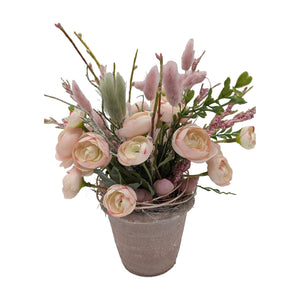 Freigestellt Sommergesteck Ranunkeln Schnecke Salbei rosa apricot im Topf