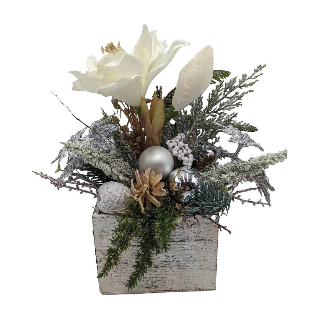 Freigestellt Weihnachtsgesteck Amaryllis Kugeln Zapfen weiß silber