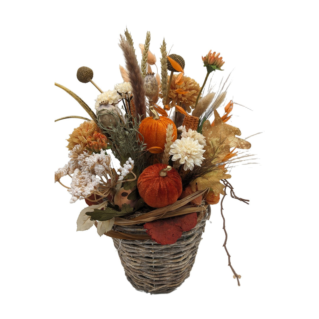 Freigestellt Herbstgesteck Kürbis Chrysantheme Craspedia orange creme