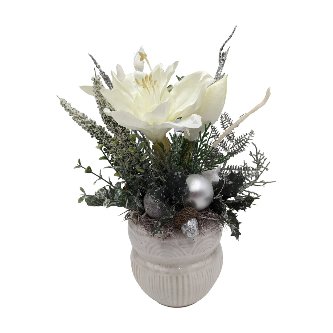 Freigestellt Weihnachtsgesteck Amaryllis Kugel Eichel weiß silber