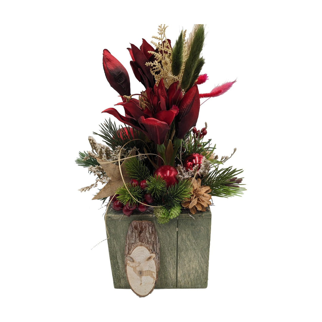 Freigestellt Weihnachtsgesteck Amaryllis Kugel Stern Zapfen rot grün