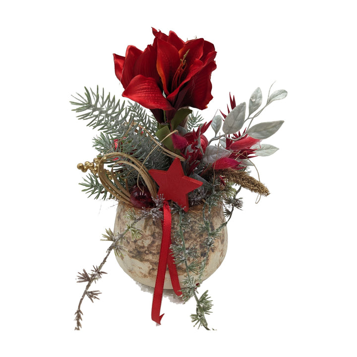 Freigestellt Weihnachtsgesteck Amaryllis Stern Kugeln rot gold