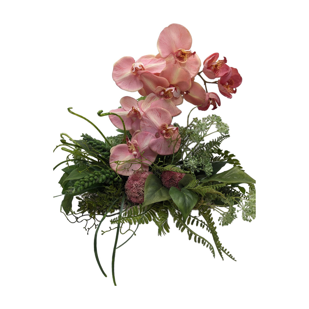 Freigestellt Frühlingsgesteck Orchideen Sedum Farn rosa grün in weißer Schale