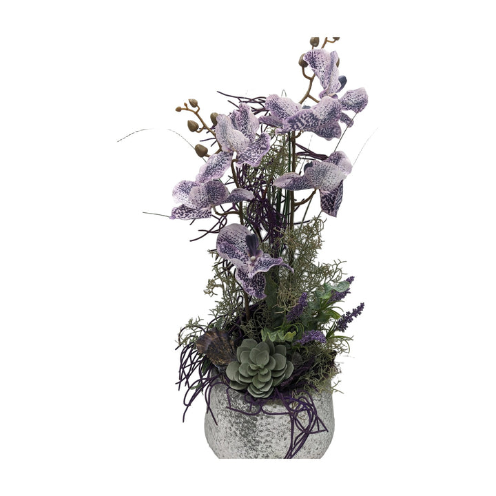 Freigestellt Frühlingsgesteck Orchideen Sukkulente lila silber