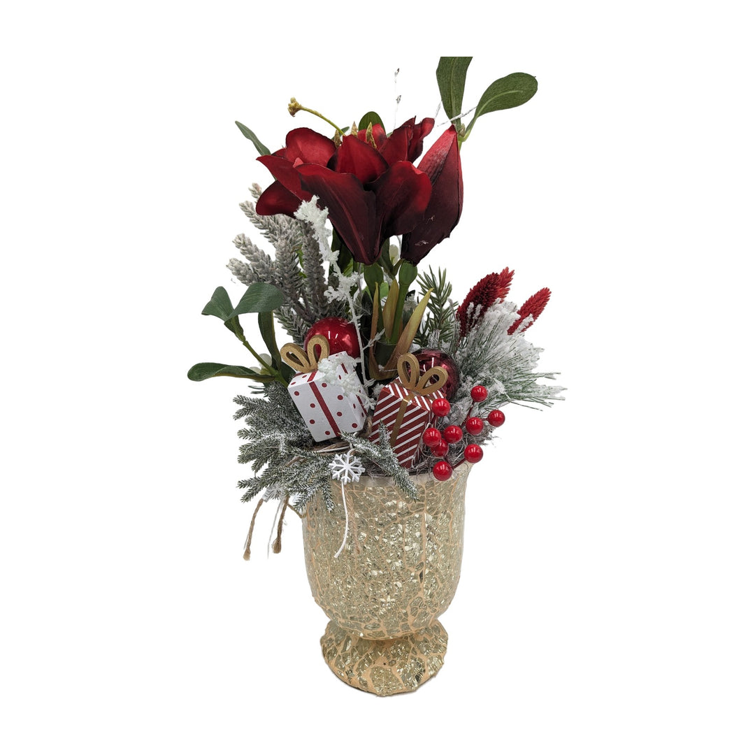 Freigestellt Weihnachtsgesteck Amaryllis Mistel Beeren rot weiß