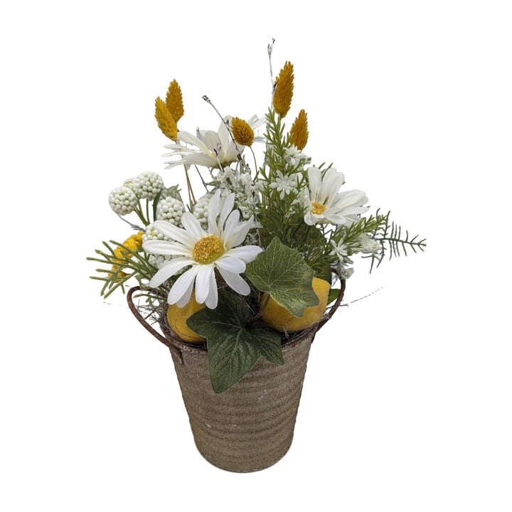 Freigestellt Frühlingsgesteck Margeriten Zitronen weiß gelb im Topf