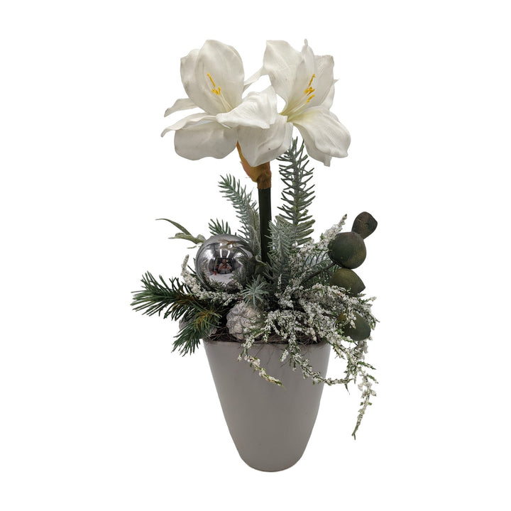 Freigestellt Wintergesteck Amaryllis Tanne Kugel silber weiss