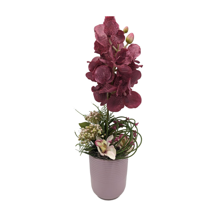 Freigestellt Frühlingsgesteck Orchidee Gräser rosenholz rosa in Keramikvase
