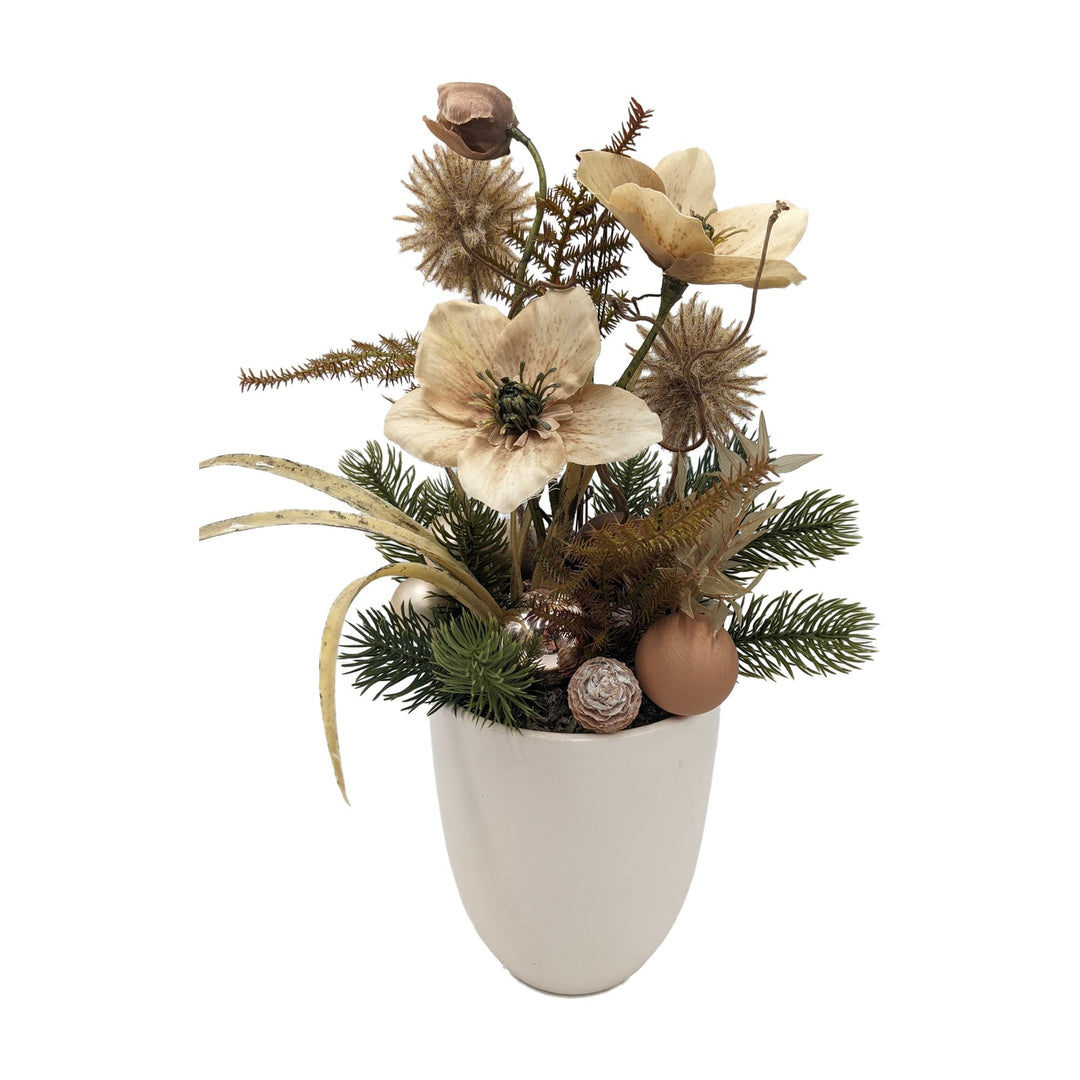 Freigestellt Weihnachtsgesteck Christrose Tannengrün Kugeln creme braun