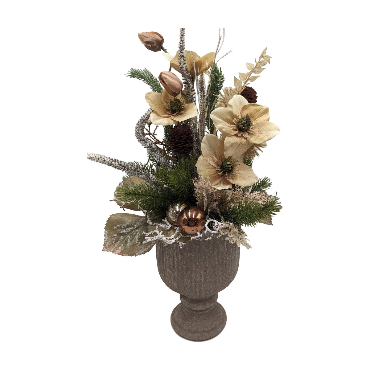 Freigestellt Wintergesteck Christrose Zapfen Blätter creme braun