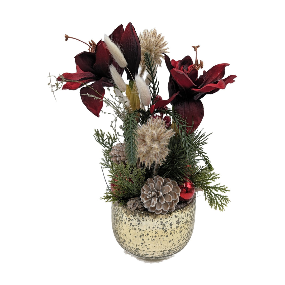 Freigestellt Weihnachtsgesteck Amaryllis Zapfen Tanne rot gold