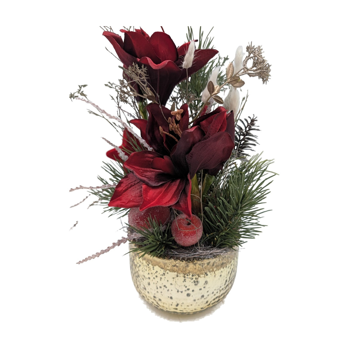 Freigestellt Weihnachtsgesteck Amaryllis Tanne Zapfen rot gold