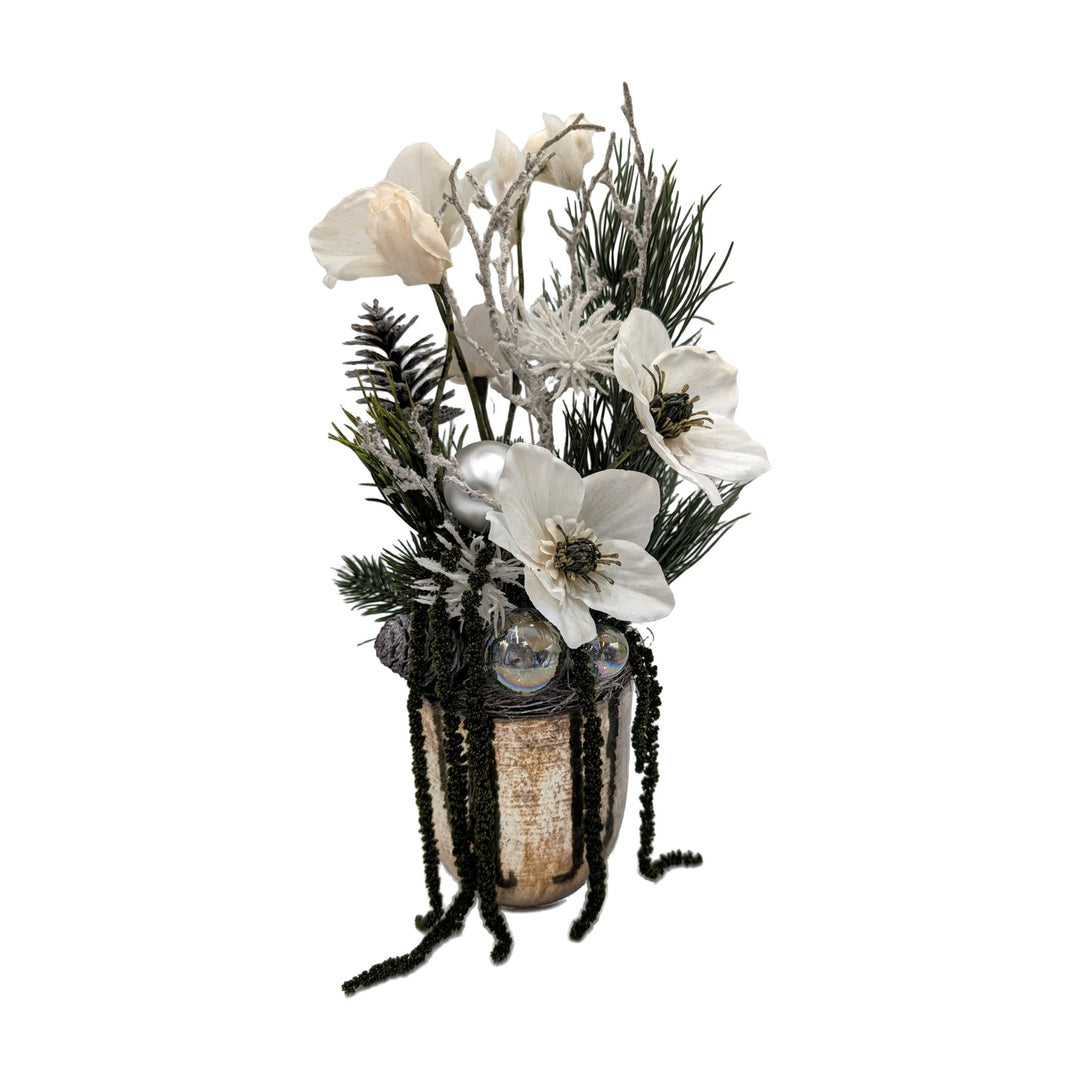 Freigestellt Wintergesteck Christrosen Zapfen Kiefer creme weiss