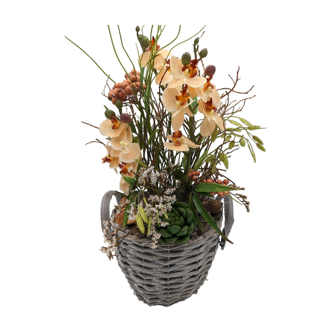 Freigestellt Tischgesteck Orchideen Sukkulente Schnecke Beeren Gräser apricot grün