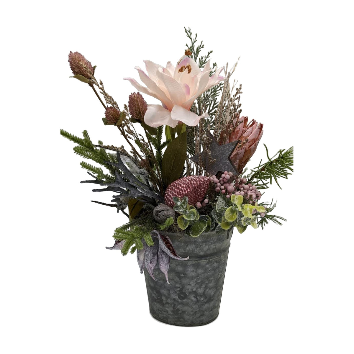 Freigestellt Wintergesteck Tischgesteck Amaryllis Zapfen Beeren Stern rosa grau