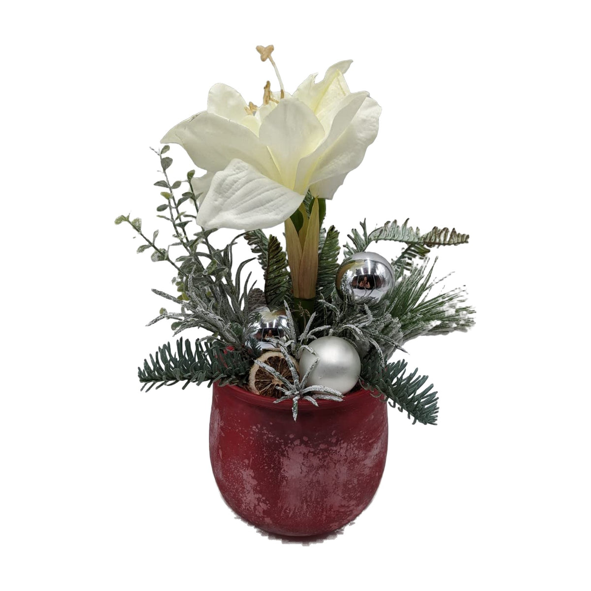 Freigestellt Wintergesteck Weihnachtsgesteck Amaryllis Tanne Kugeln rot weiß